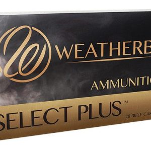 .300 Weatherby Magnum For Sale