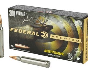 .300 Winchester Magnum For Sale