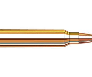 .300 Winchester Magnum For Sale