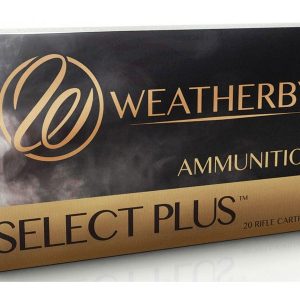 .416 Weatherby Magnum For Sale